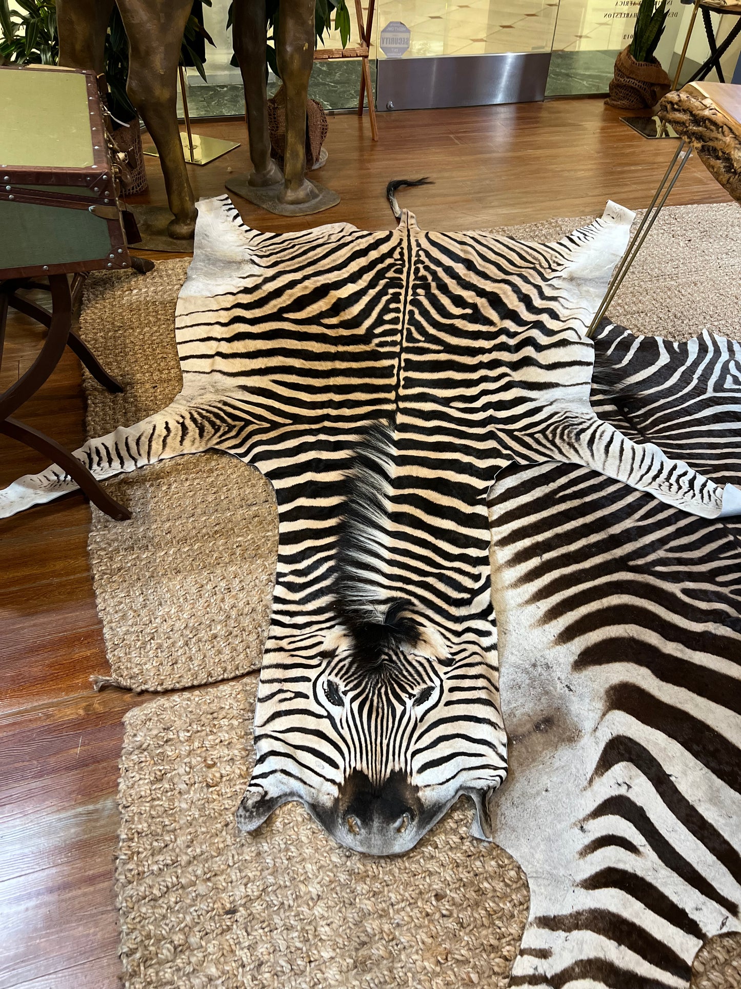 Burchell’s Zebra Rug