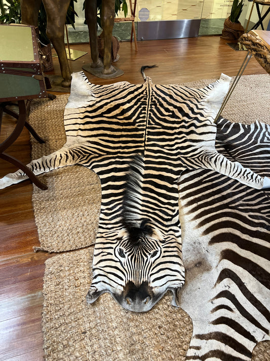 Burchell’s Zebra Rug
