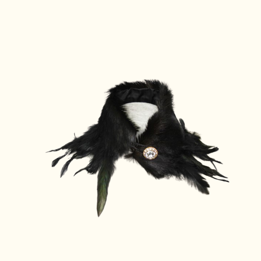 Etosha Midnight with Black Plumage - Norton and Hodges