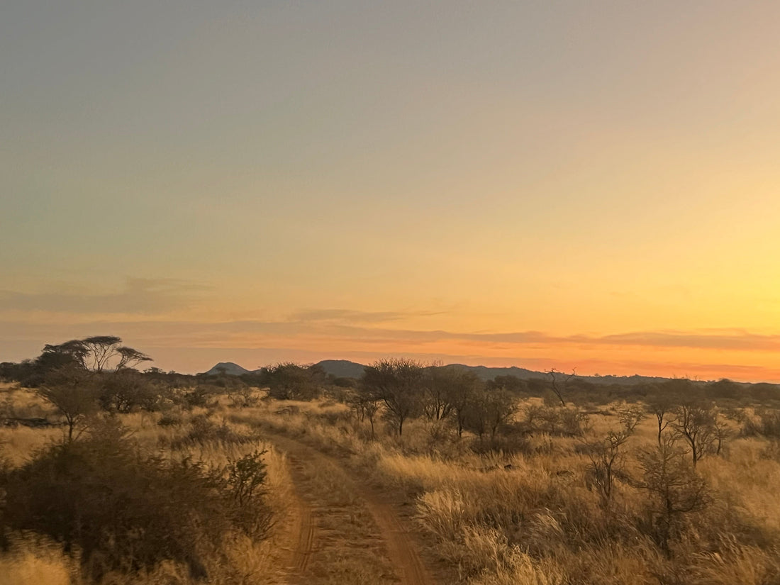 Namibian Hunting Trip
