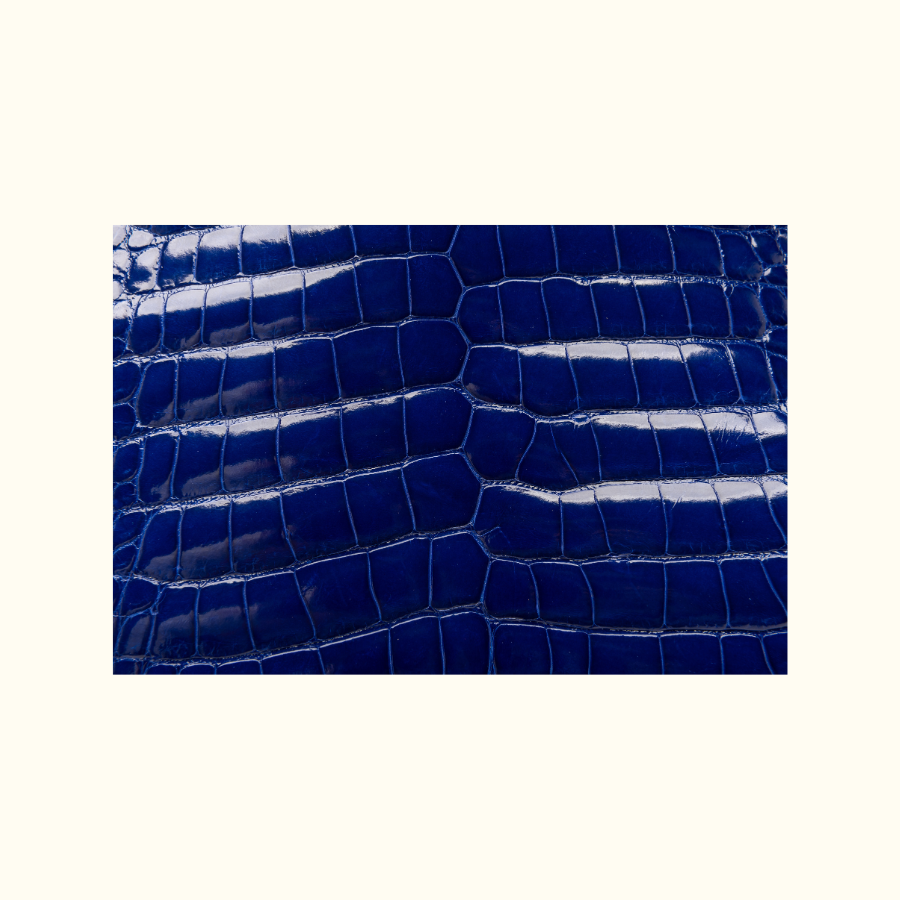 Roubaix Men's All Alligator Wallet