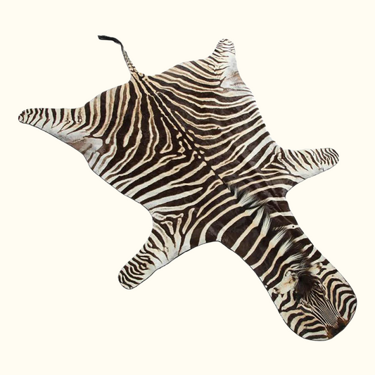Burchell’s Zebra Rug