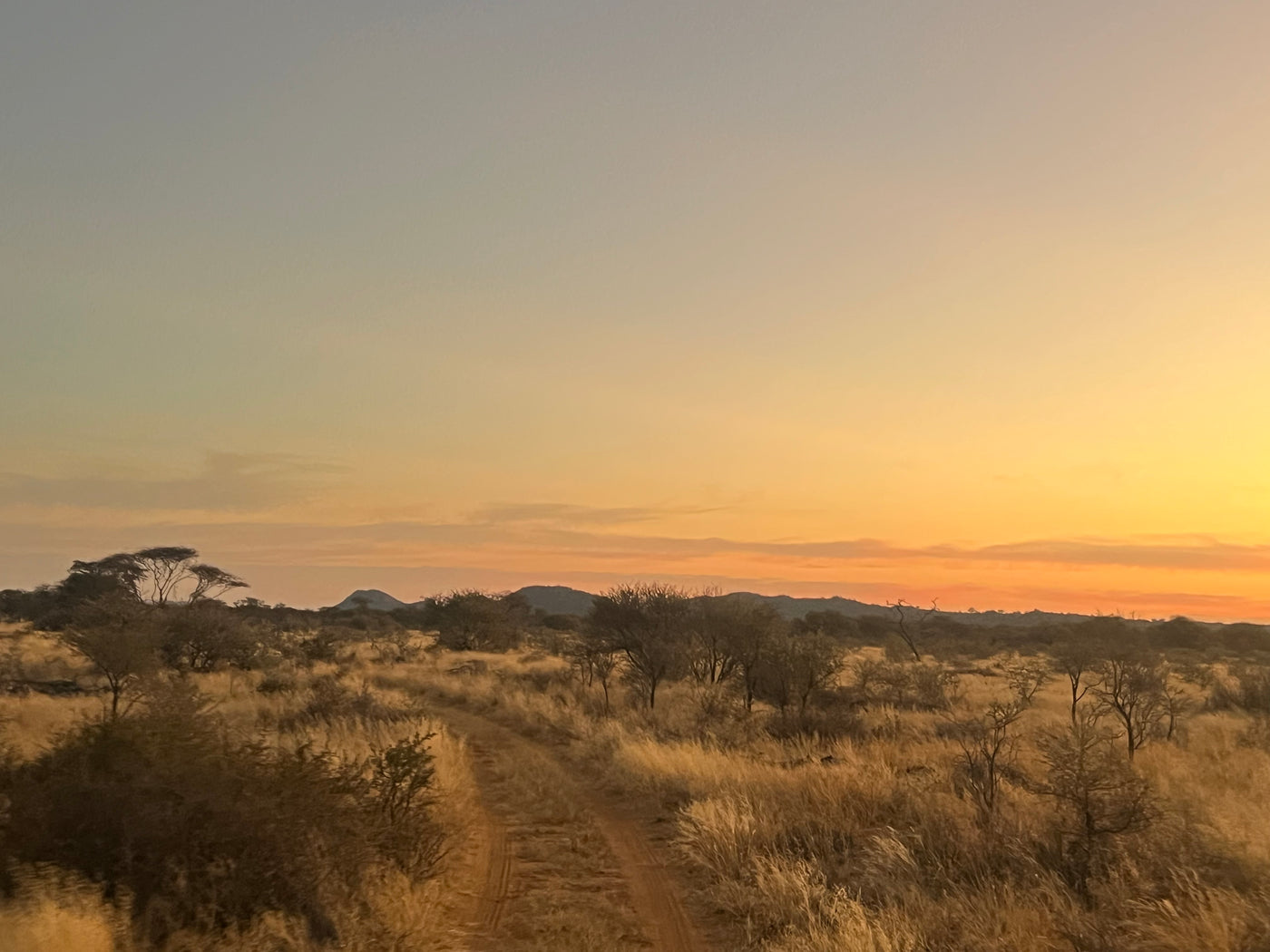 Namibian Hunt Trip Deposit 2027