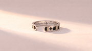 Gold Plated / Zebra