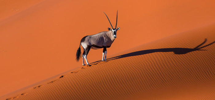 Namibia