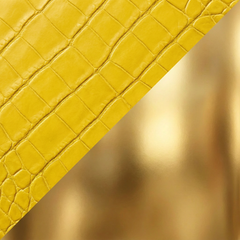Daisy Yellow